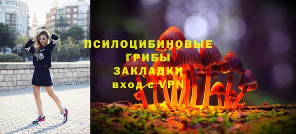 экстази Осинники