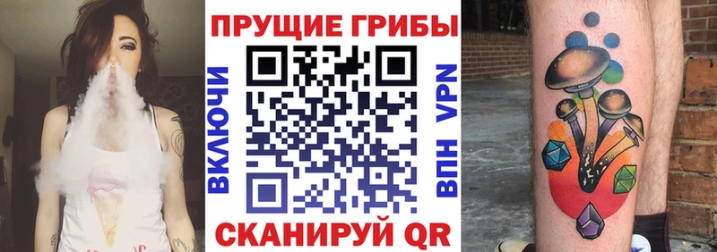 кракен рабочий сайт  где можно купить наркотик  Сосенский  shop официальный сайт  Псилоцибиновые грибы прущие грибы 